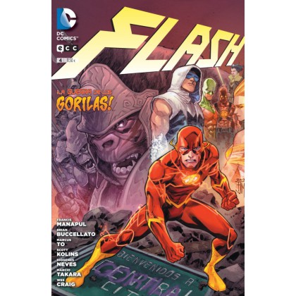 Flash 04
